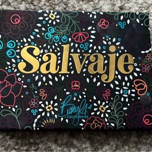 Salvaje by Colourpop, only one colour used & have since cleaned it out